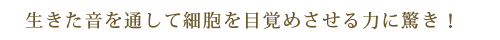 小馬崎達也